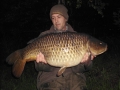 commoncarp