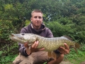 11lb Pike