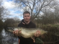 18lb Pike