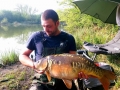 mirror carp - road side