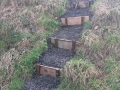 steps