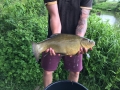 6lb Tench