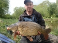 Adam 16lb Common Carp