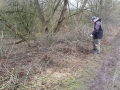 Clearing over-grown vegetation from canal