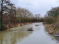 Clearing over-grown vegetation from canal