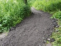 Improving footpaths around Roughs pond