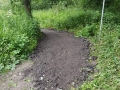 Improving footpaths around Roughs pond