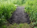 Improving footpaths around Roughs pond