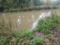 New fishing platforms on canal